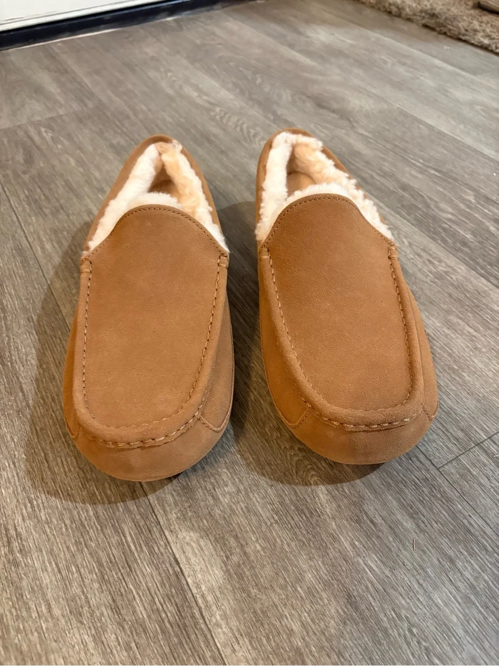 Men's UGG Slippers